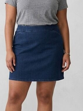 😍SHOW SPECIAL NORTHERN REFLECTIONS Dark Denim Mini Skort XL